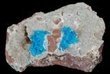 Vibrant Blue Cavansite Clusters on Stilbite - India #176805-2